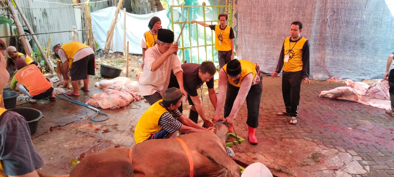 WhatsApp Image 2025 06 06 at 09.38.03 58dd3269